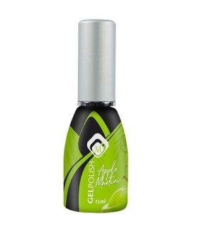 Gelpolish Apple Martini 15ml Magnetic